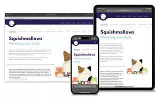 Work Detail for Squishmallows